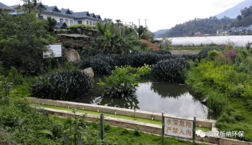 勐海縣 以農村污水治理為筆，繪就美麗鄉村新畫卷